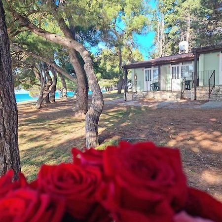 Novigrad Istria Family Bungalow Pineta מראה חיצוני תמונה