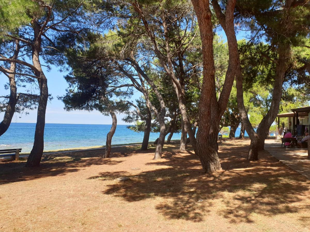 Novigrad Istria Family Bungalow Pineta מראה חיצוני תמונה