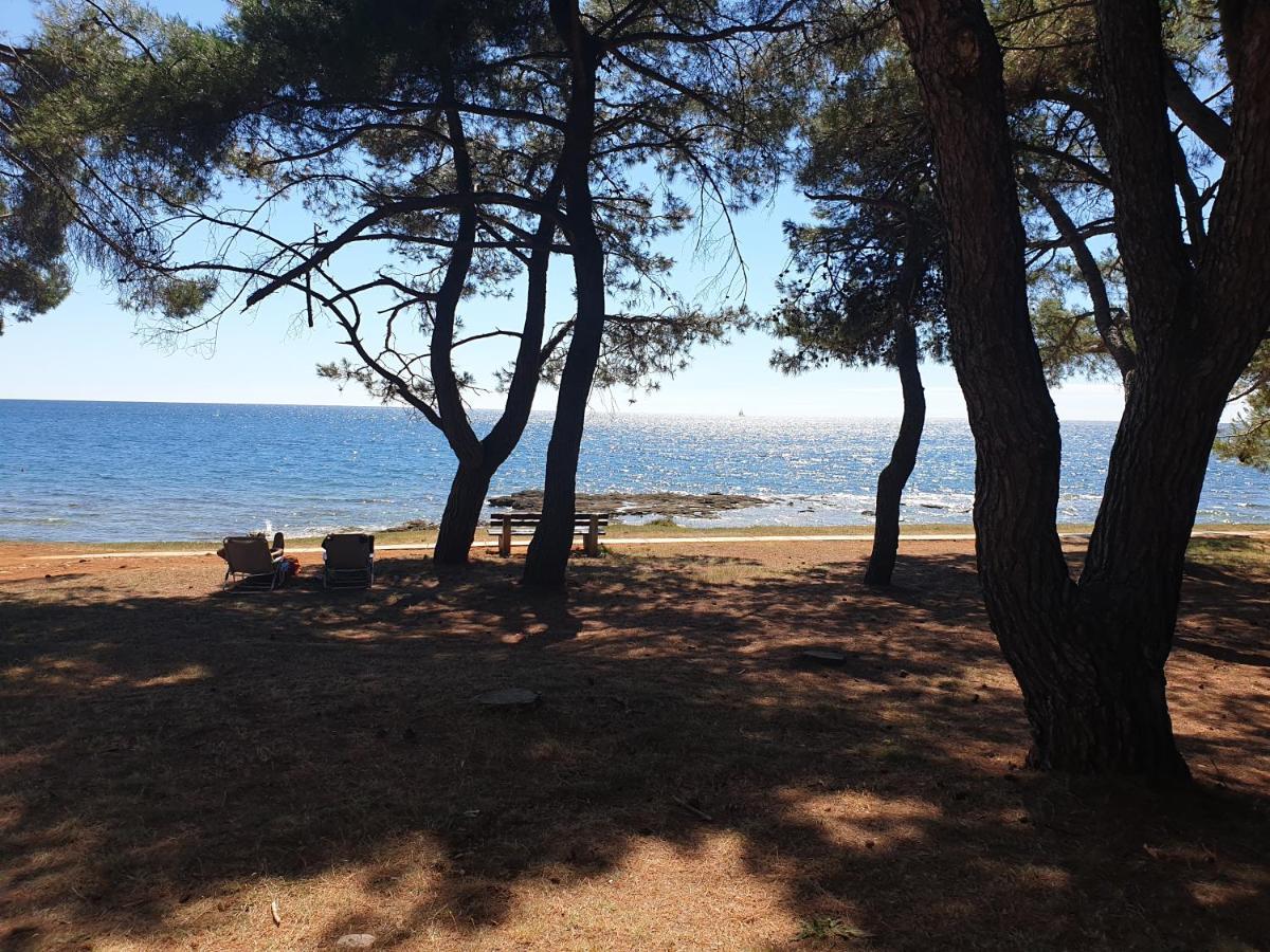 Novigrad Istria Family Bungalow Pineta מראה חיצוני תמונה
