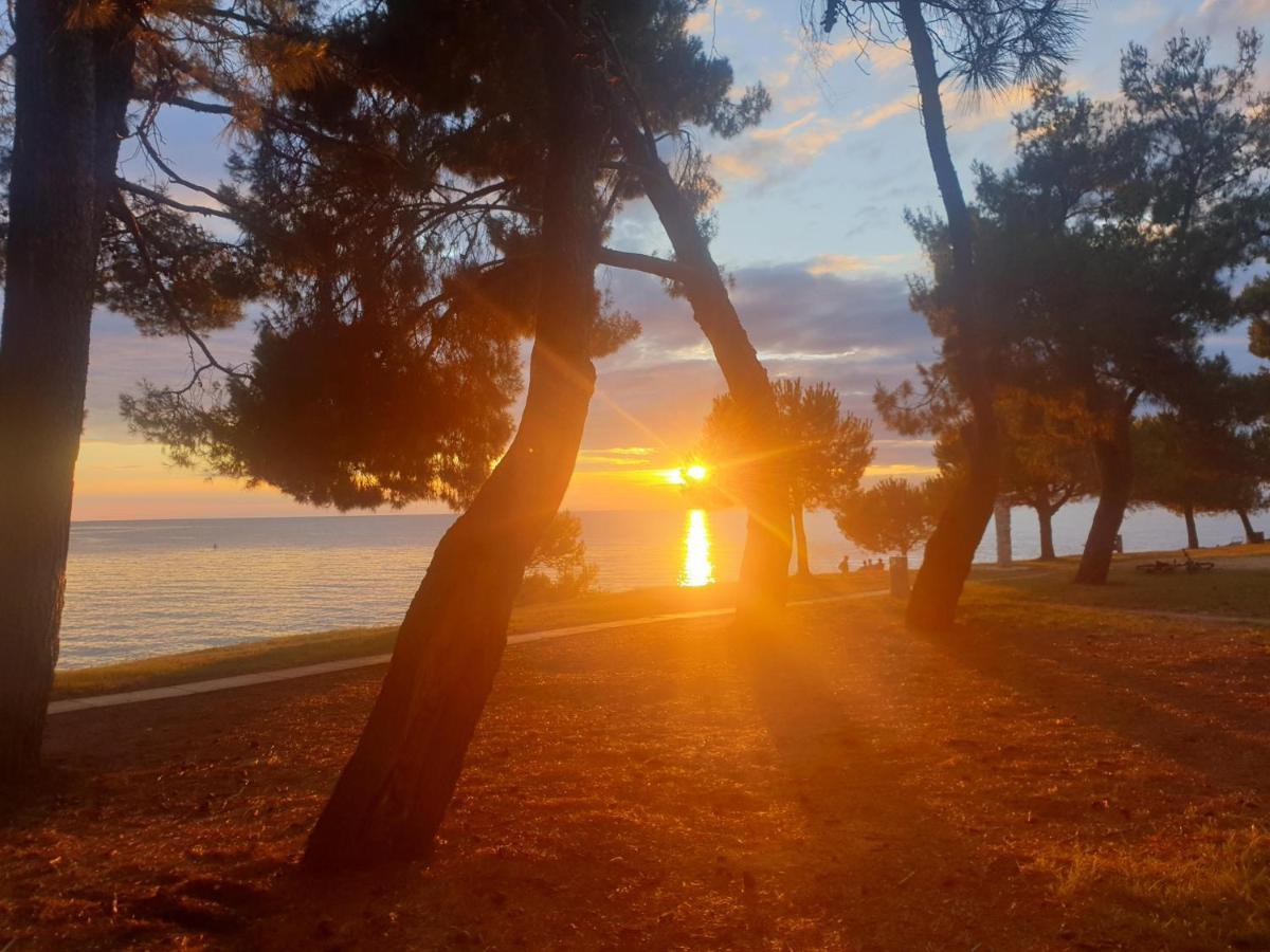 Novigrad Istria Family Bungalow Pineta מראה חיצוני תמונה