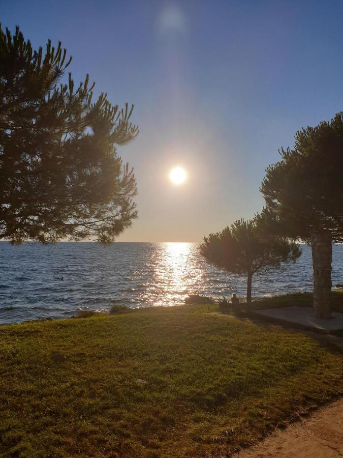 Novigrad Istria Family Bungalow Pineta מראה חיצוני תמונה