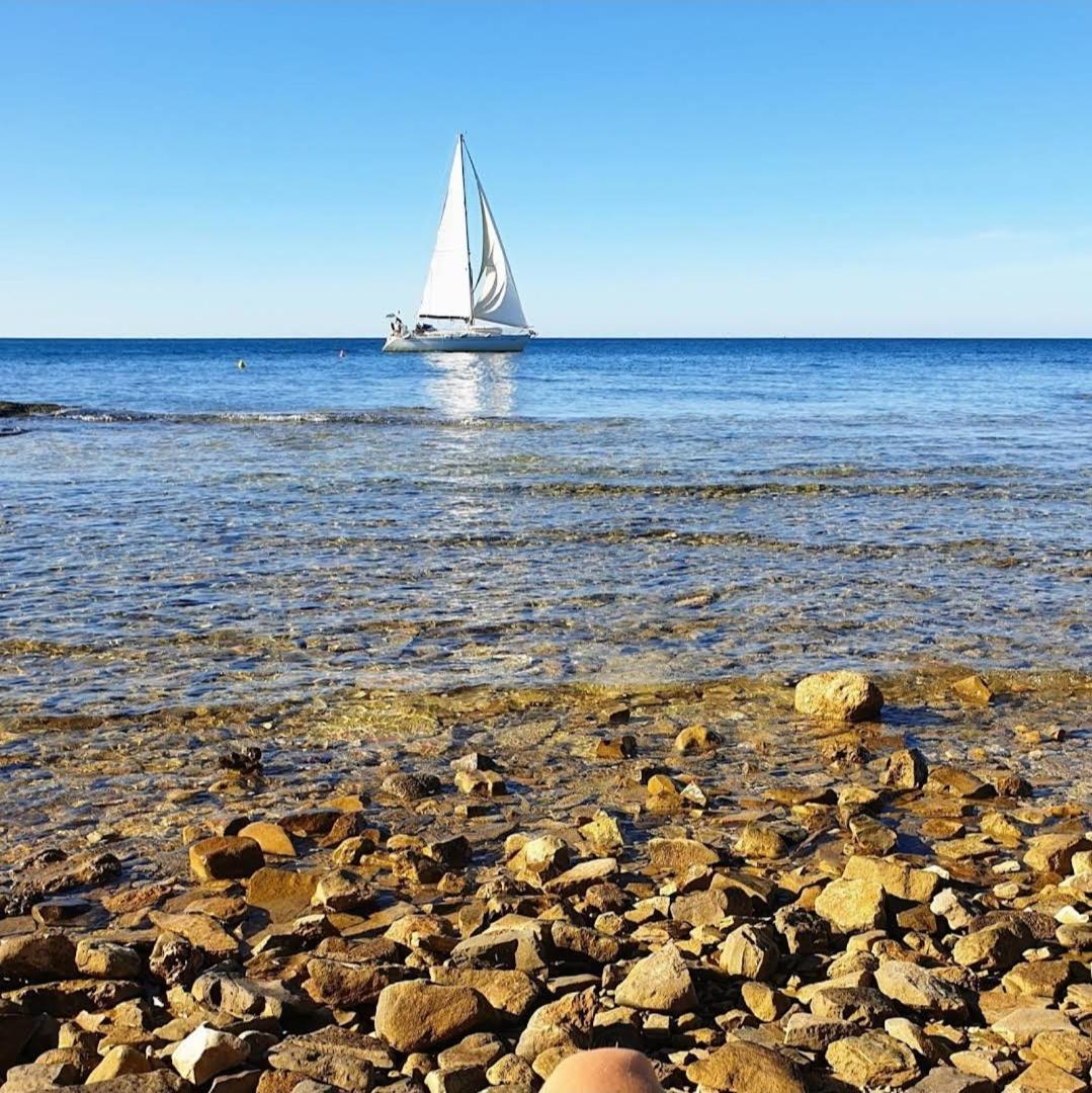 Novigrad Istria Family Bungalow Pineta מראה חיצוני תמונה