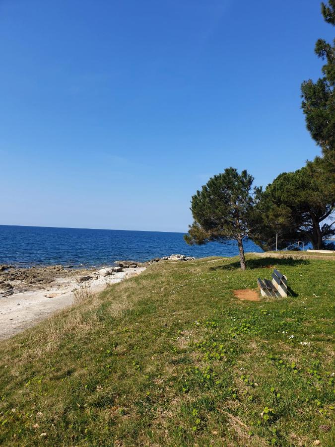 Novigrad Istria Family Bungalow Pineta מראה חיצוני תמונה