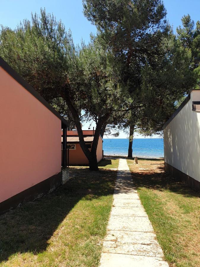Novigrad Istria Family Bungalow Pineta מראה חיצוני תמונה